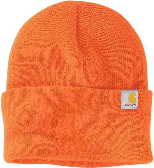 Carhartt Watch Cap 2.0