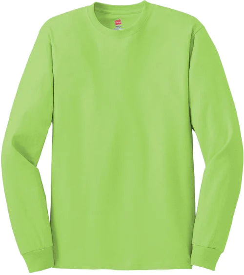 Hanes Authentic 100% Cotton Long Sleeve T-Shirt