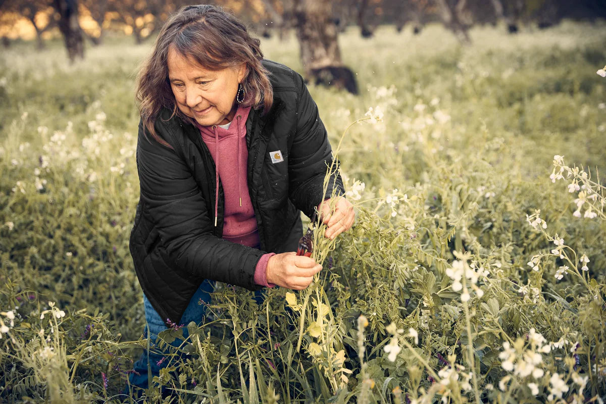 Carhartt Women’s Gilliam Jacket